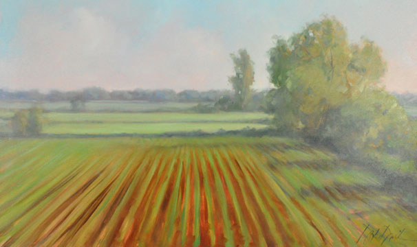 SUMMER'S COLORS, #2645