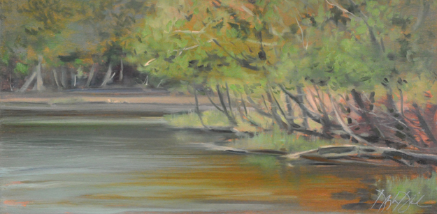 A TIME TO REFLECT, #2660